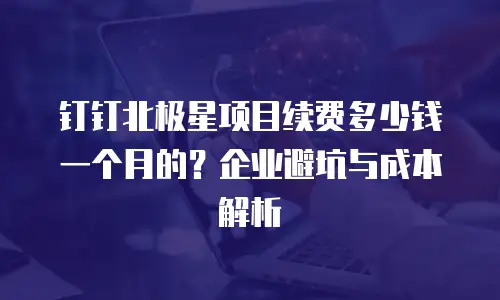 钉钉北极星项目续费多少钱一个月的？企业避坑与成本解析