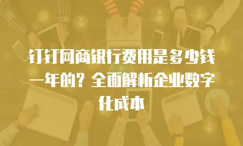 钉钉网商银行费用是多少钱一年的？全面解析企业数字化成本