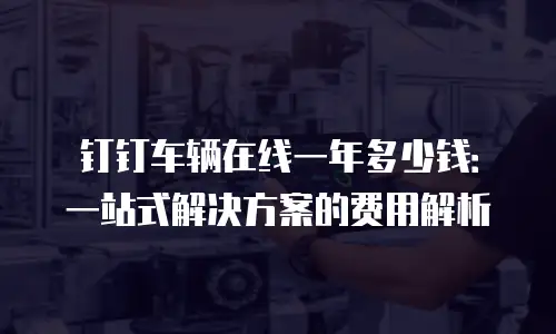 钉钉车辆在线一年多少钱：一站式解决方案的费用解析