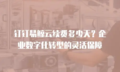 钉钉易鲸云续费多少天？企业数字化转型的灵活保障