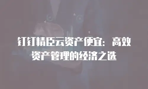 钉钉精臣云资产便宜：高效资产管理的经济之选