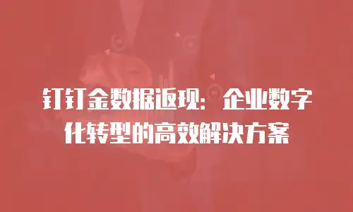 钉钉金数据返现：企业数字化转型的高效解决方案
