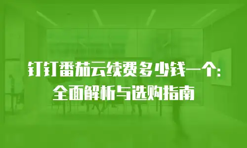 钉钉番茄云续费多少钱一个：全面解析与选购指南