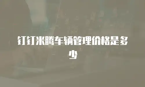 钉钉米腾车辆管理价格是多少