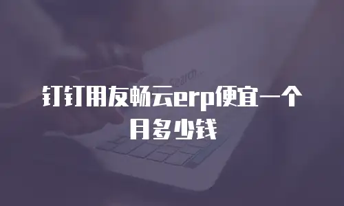 钉钉用友畅云erp便宜一个月多少钱