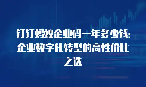 钉钉蚂蚁企业码一年多少钱：企业数字化转型的高性价比之选