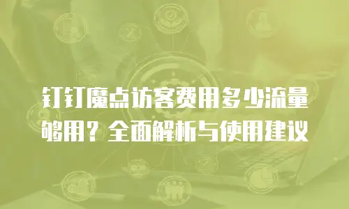 钉钉魔点访客费用多少流量够用？全面解析与使用建议