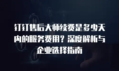 钉钉售后大师续费是多少天内的服务费用？深度解析与企业选择指南