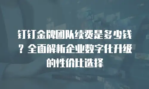 钉钉金牌团队续费是多少钱？全面解析企业数字化升级的性价比选择