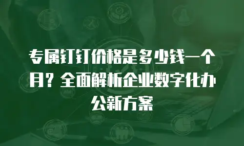 专属钉钉价格是多少钱一个月？全面解析企业数字化办公新方案
