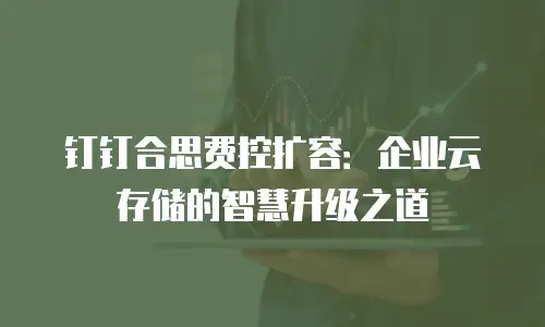 钉钉合思费控扩容：企业云存储的智慧升级之道