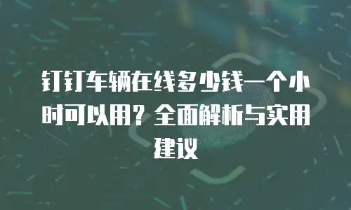 钉钉车辆在线多少钱一个小时可以用？全面解析与实用建议