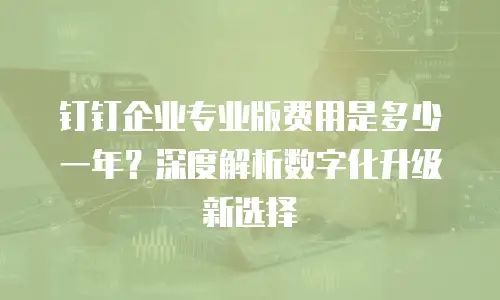 钉钉企业专业版费用是多少一年？深度解析数字化升级新选择