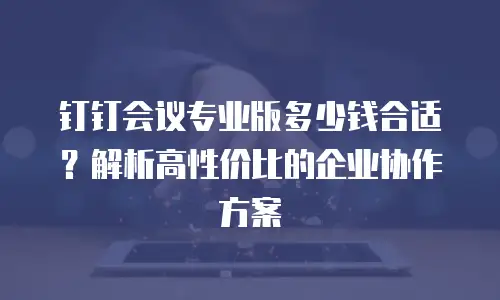 钉钉会议专业版多少钱合适？解析高性价比的企业协作方案