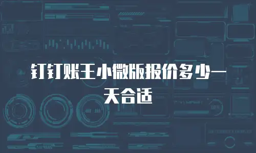 钉钉账王小微版报价多少一天合适