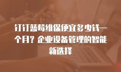 钉钉蓝莓维保便宜多少钱一个月？企业设备管理的智能新选择