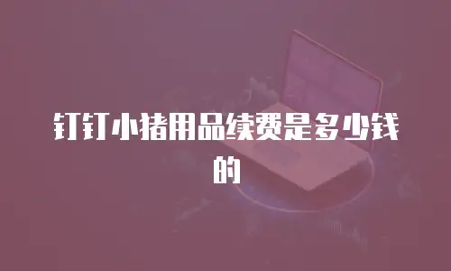 钉钉小猪用品续费是多少钱的