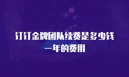 钉钉金牌团队续费是多少钱一年的费用