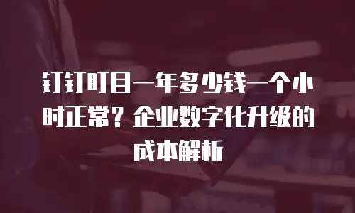 钉钉盯目一年多少钱一个小时正常？企业数字化升级的成本解析