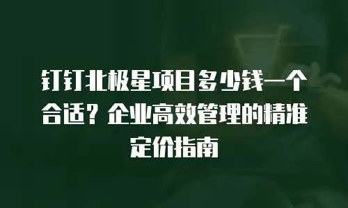 钉钉北极星项目多少钱一个合适？企业高效管理的精准定价指南