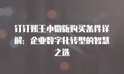 钉钉账王小微版购买条件详解：企业数字化转型的智慧之选