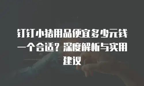 钉钉小猪用品便宜多少元钱一个合适？深度解析与实用建议