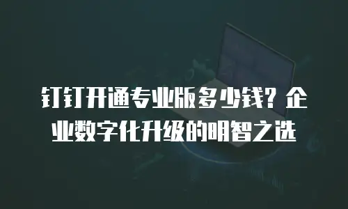 钉钉开通专业版多少钱？企业数字化升级的明智之选