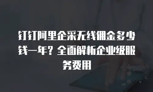 钉钉阿里企采无线佣金多少钱一年？全面解析企业级服务费用