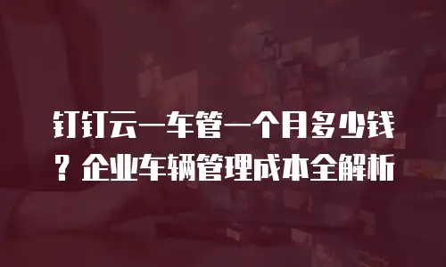 钉钉云一车管一个月多少钱？企业车辆管理成本全解析