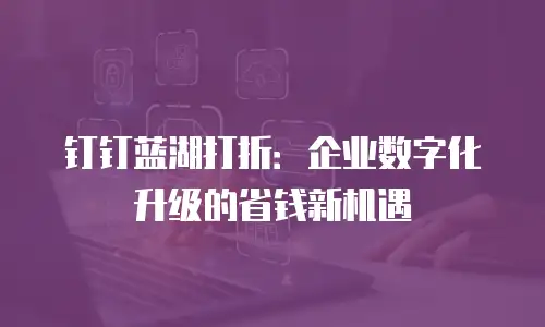 钉钉蓝湖打折：企业数字化升级的省钱新机遇