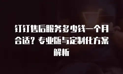 钉钉售后服务多少钱一个月合适？专业版与定制化方案解析