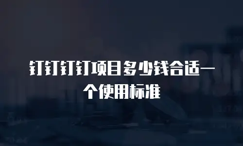 钉钉钉钉项目多少钱合适一个使用标准
