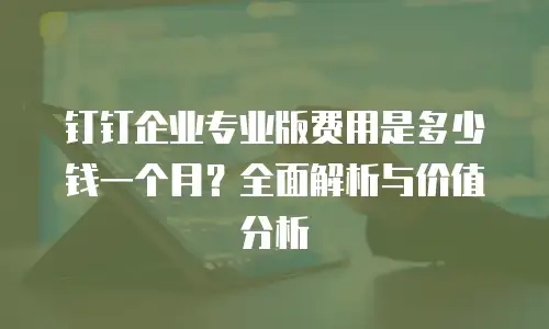钉钉企业专业版费用是多少钱一个月？全面解析与价值分析