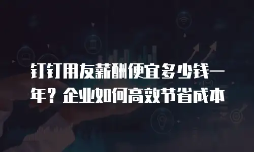 钉钉用友薪酬便宜多少钱一年？企业如何高效节省成本