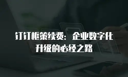 钉钉枢策续费：企业数字化升级的必经之路