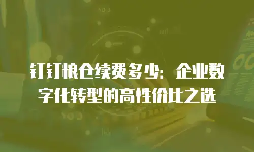 钉钉粮仓续费多少：企业数字化转型的高性价比之选