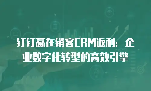 钉钉赢在销客CRM返利：企业数字化转型的高效引擎