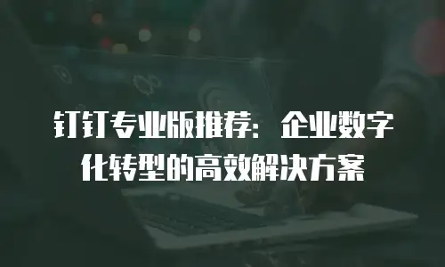 钉钉专业版推荐：企业数字化转型的高效解决方案