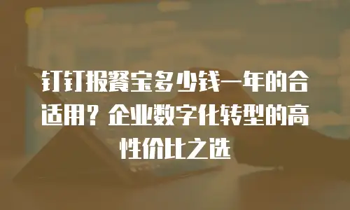 钉钉报餐宝多少钱一年的合适用？企业数字化转型的高性价比之选