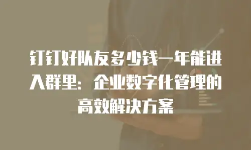 钉钉好队友多少钱一年能进入群里：企业数字化管理的高效解决方案
