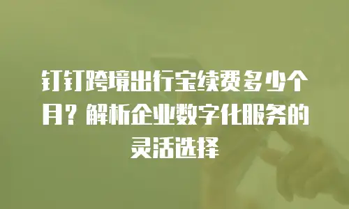 钉钉跨境出行宝续费多少个月？解析企业数字化服务的灵活选择