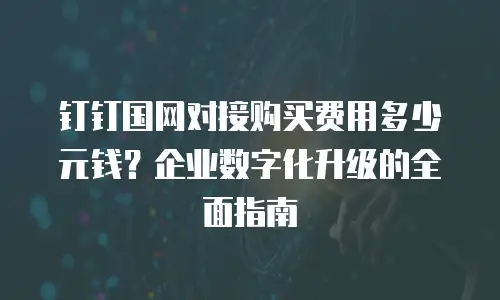 钉钉国网对接购买费用多少元钱？企业数字化升级的全面指南