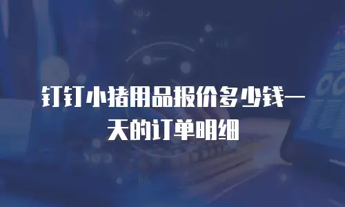 钉钉小猪用品报价多少钱一天的订单明细