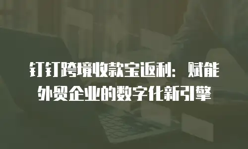 钉钉跨境收款宝返利：赋能外贸企业的数字化新引擎