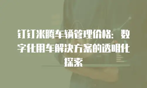 钉钉米腾车辆管理价格：数字化用车解决方案的透明化探索