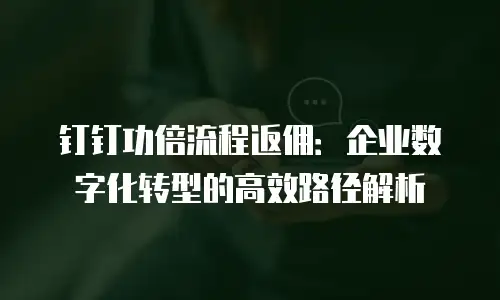 钉钉功倍流程返佣：企业数字化转型的高效路径解析