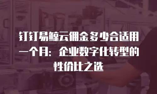 钉钉易鲸云佣金多少合适用一个月：企业数字化转型的性价比之选