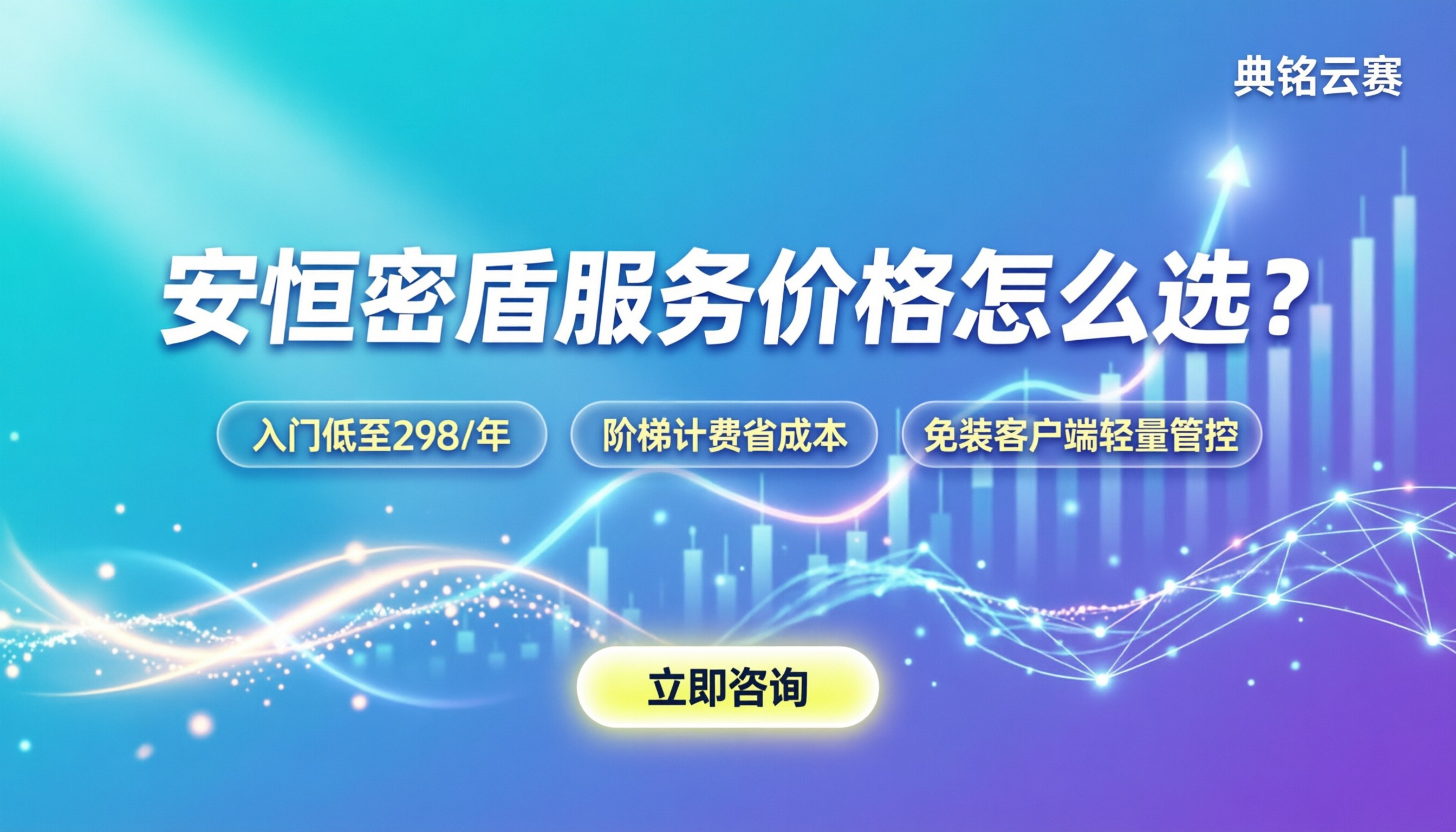 安恒密盾服务价格:不同版本怎么选最划算?