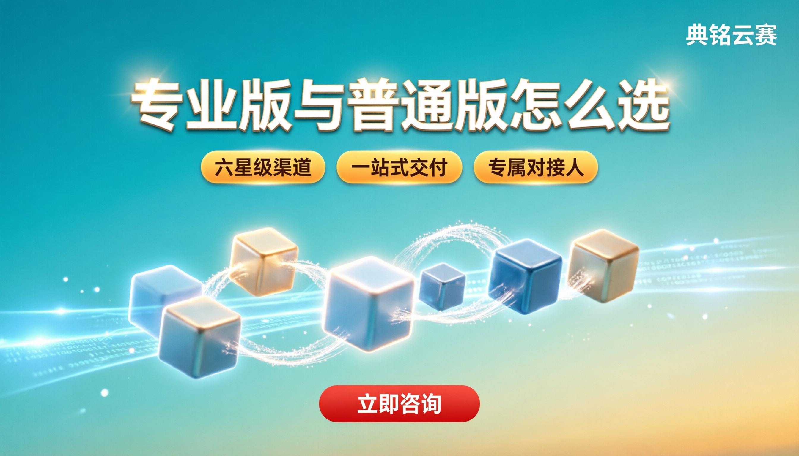 钉钉专业版和普通版区别:怎么选版本与服务商