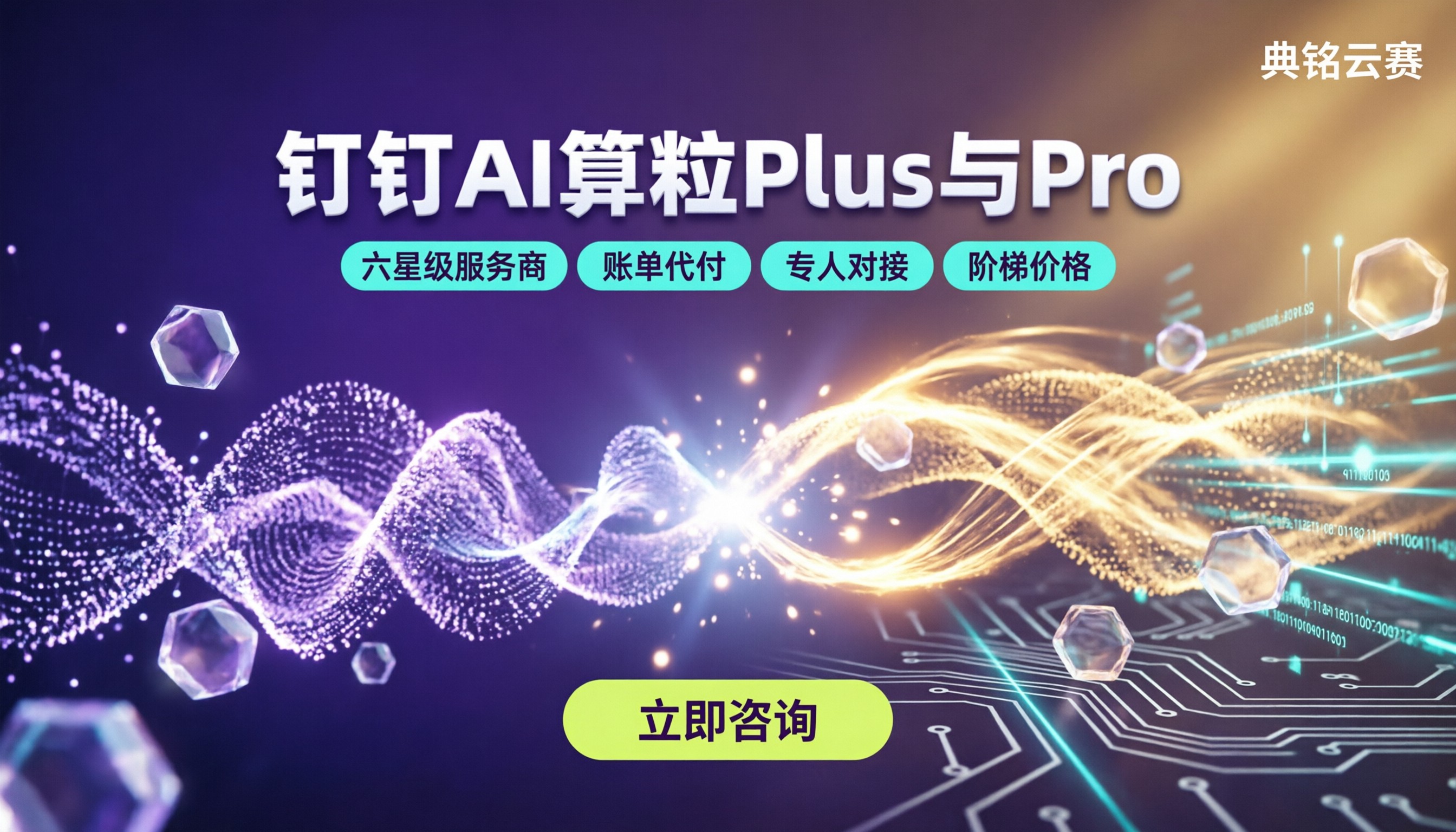 钉钉AI算粒Plus和Pro区别:怎么选不踩坑